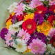 Букет из 51 гербера микс с зеленью купить с доставкой в Санкт-Петербурге